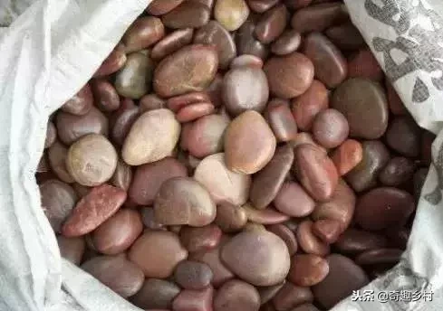 院子里应该有个小池塘，没有就自己动手挖个！（附实际操作图）