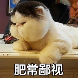 胖猫咪表情包：这不是胖，这是幸福肉