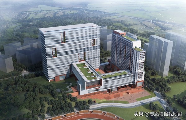 大学新校区“东南飞”成趋势，泄露了哪些秘密？