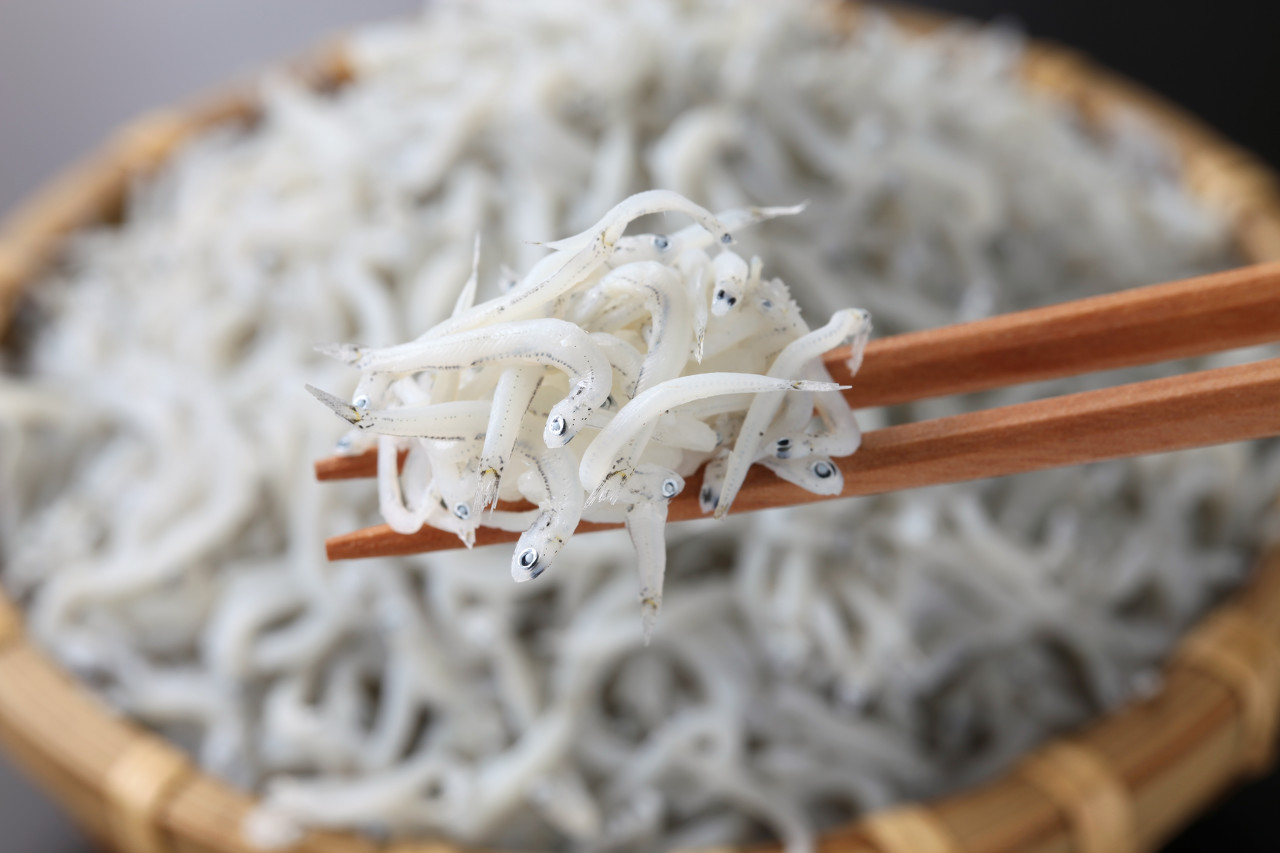 太湖三白就是太湖的三種名產:白魚,白蝦,銀魚.