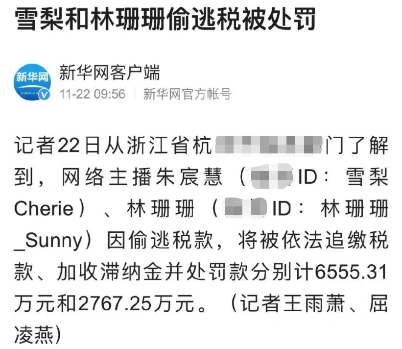 網紅林珊珊雪梨偷逃稅被處罰！兩人合計近九千萬，引網友集體怒斥