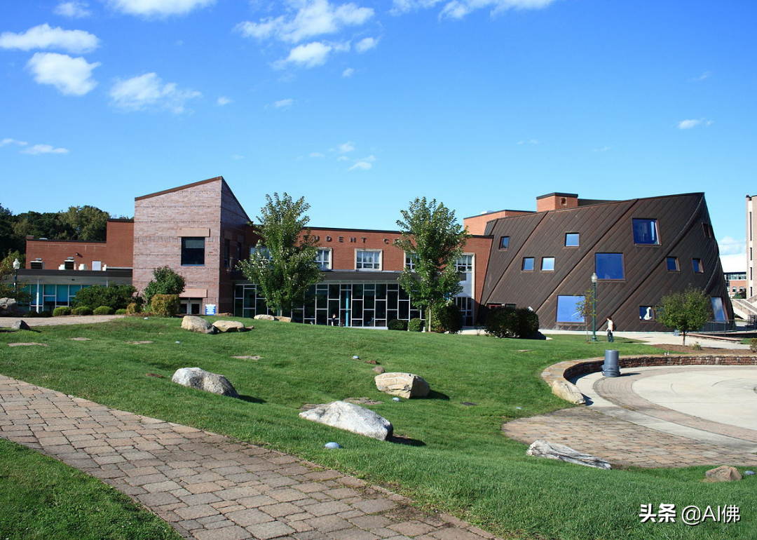 美国最自由的公立大学