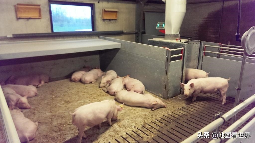 维京人后裔，童话王国，养猪强国，最幸福的国家——丹麦概况