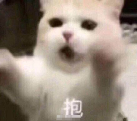 跟男朋友撒娇表情包：睡醒了，要抱抱
