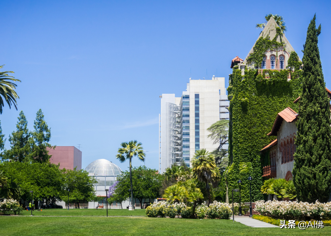 美国最自由的公立大学