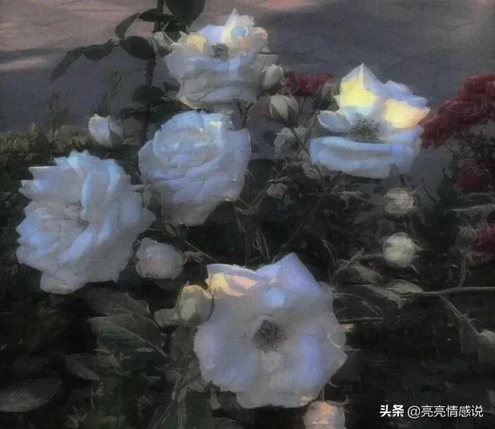 致暗恋：窗外下起了大雨，你没看我，我没看雨