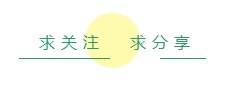 泰迪犬和比熊犬：如何区分“撞脸”的狗狗