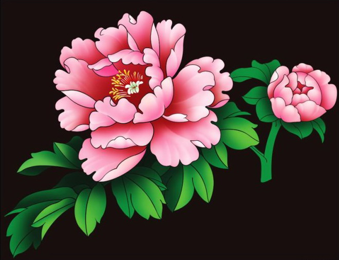 牡丹花绘画欣赏 (第一辑)