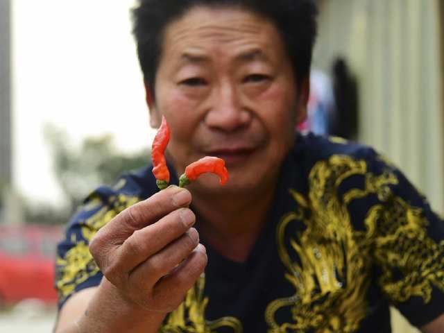 中国辣王李永志：一餐5斤辣椒配白酒，32个魔鬼辣椒击败印度老人
