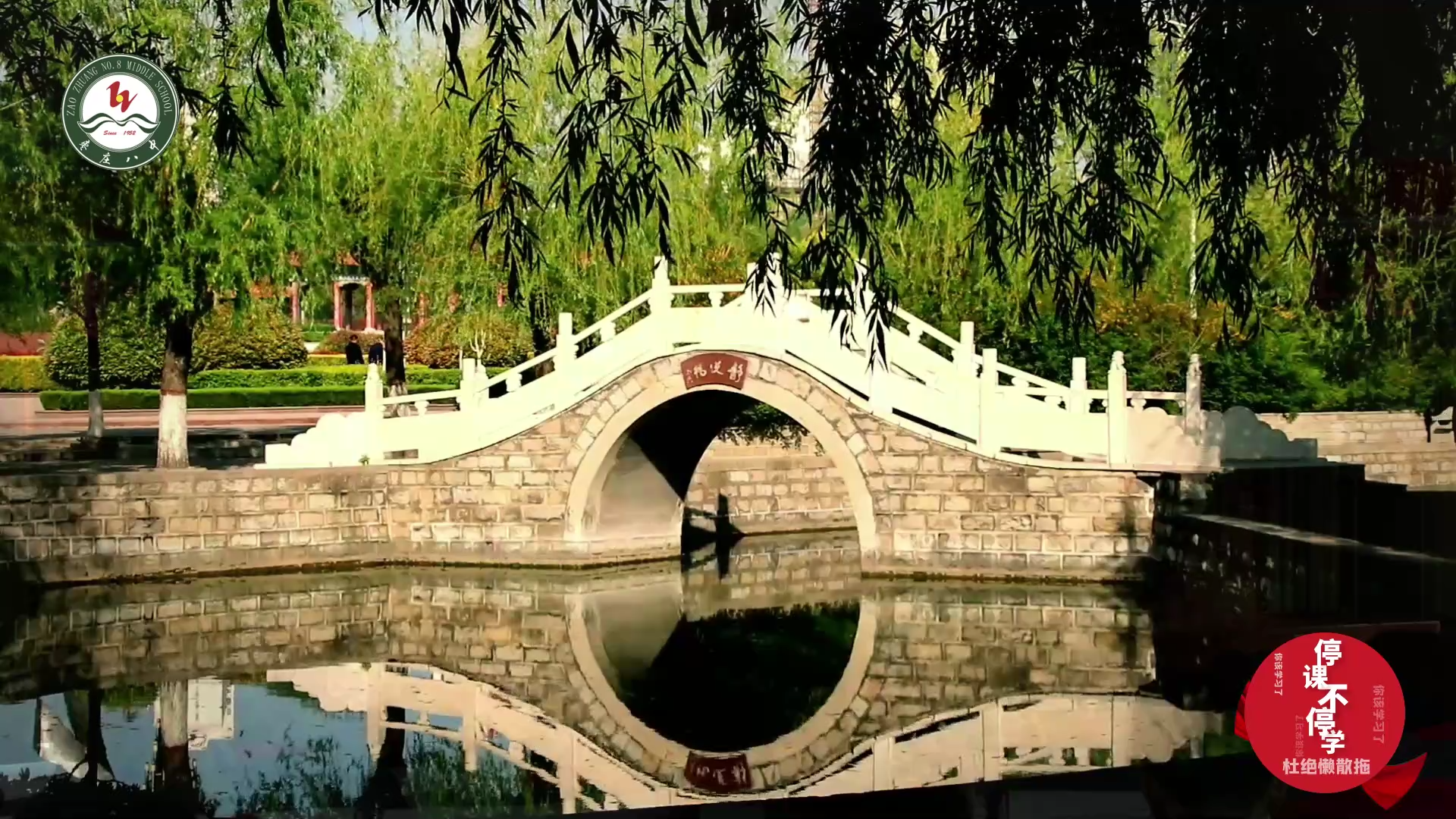 枣庄八中南校·停课不停学，音乐伴你行丨必听歌单28首！