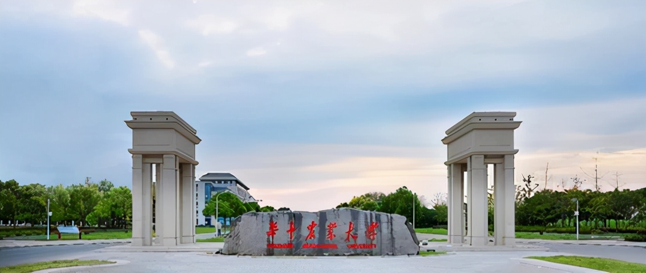 最强211，各高校一流学科和重点学科数量汇总！这些211真有实力