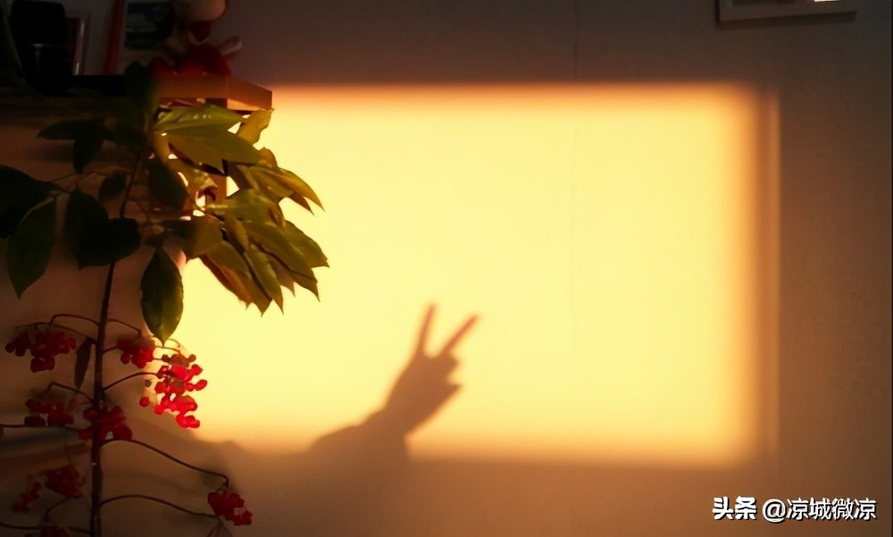 沐浴朝阳，感受青春，邂逅午后，体会人生，遇见晚霞尝尽人生百味