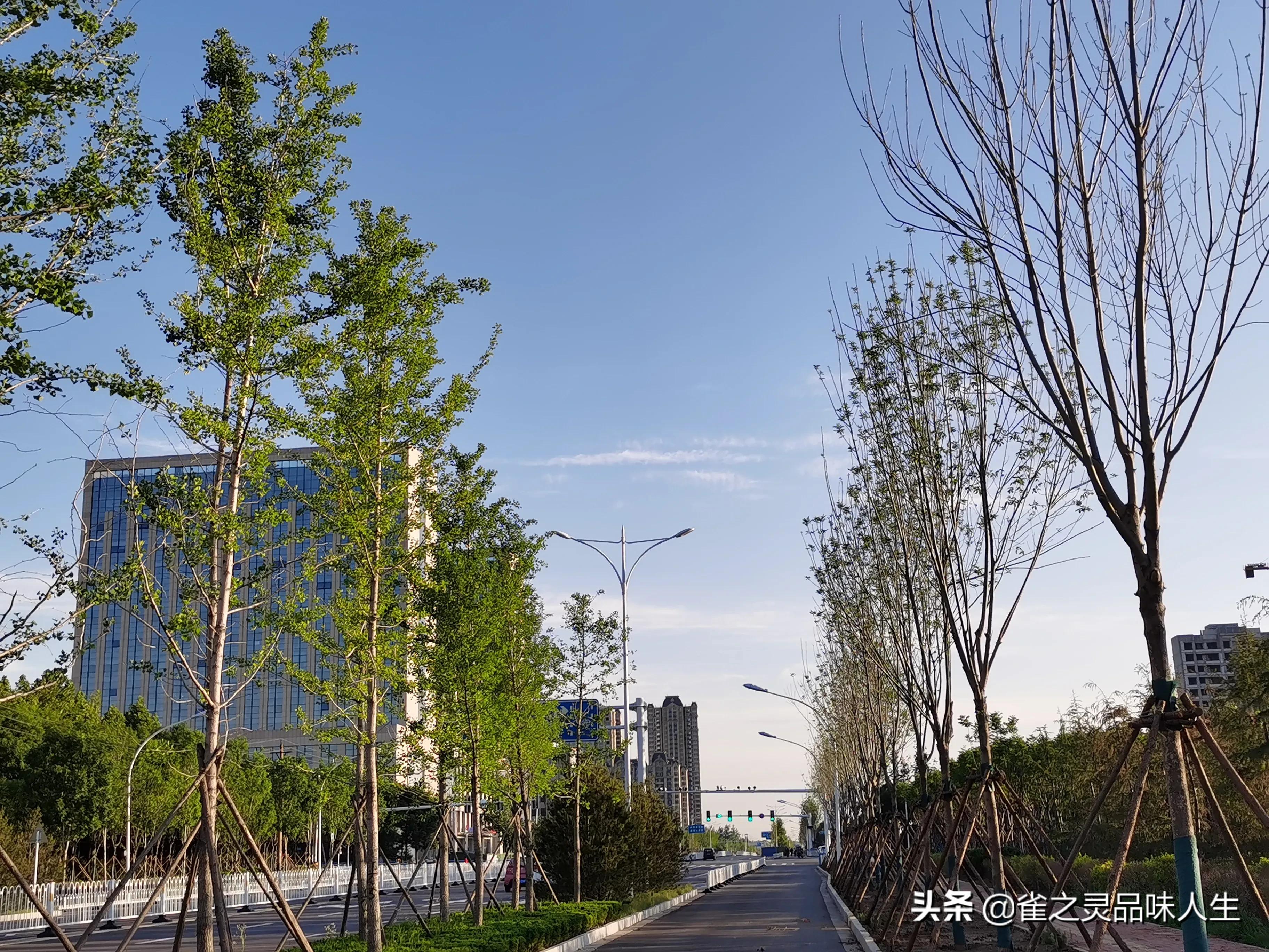 68岁心高气傲的董晨说“我想找一个未婚女大学生做妻子有错吗？”