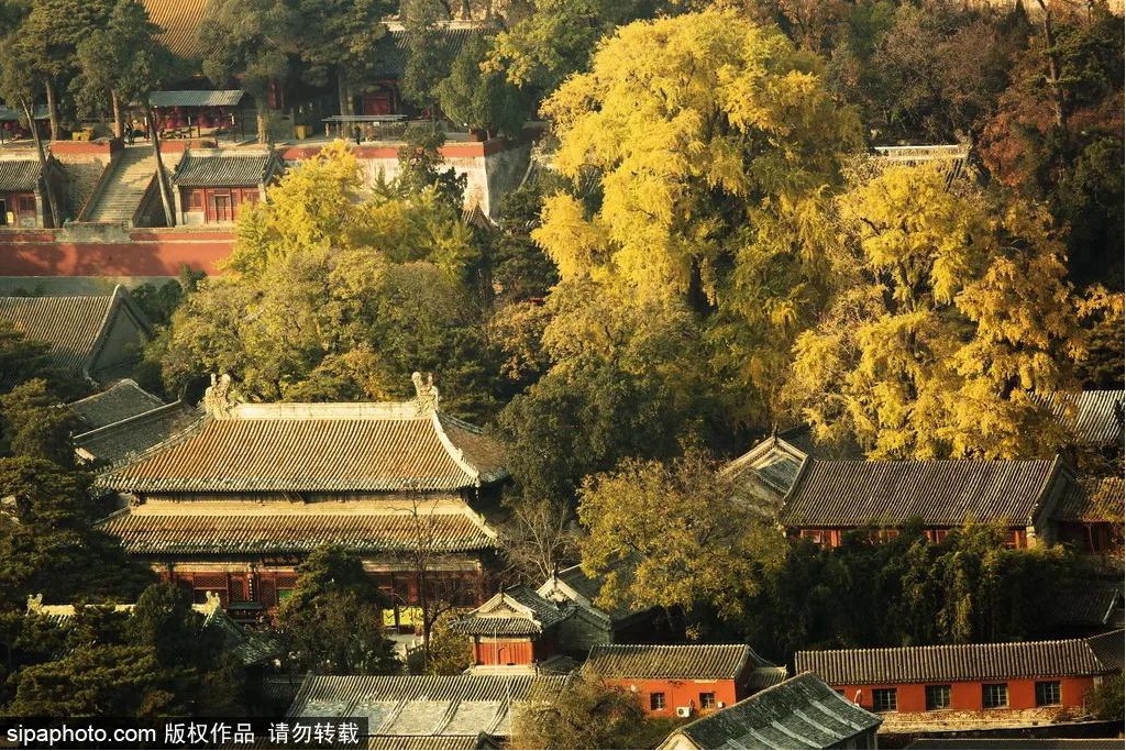 东西南北游北京：一路向西