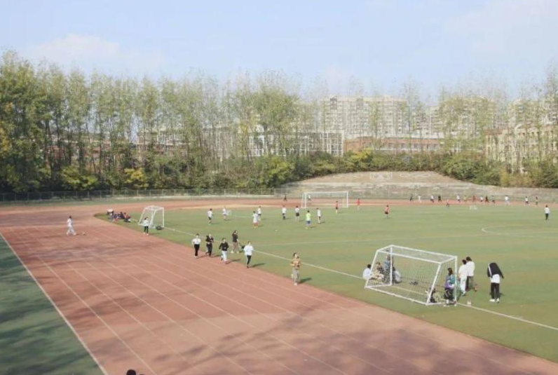 南京大学金陵学院终止办学，作为最后一届在校生，是什么体验？