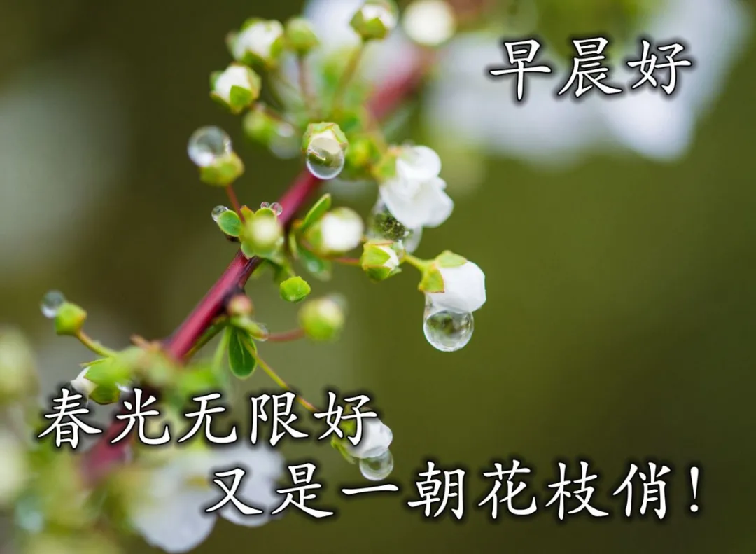 快乐幸福的早上好动态图片，早安心语动态表情包