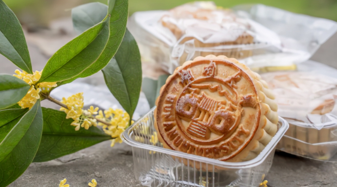 人民日报聚焦！湖南大学坐拥三条“地铁校车”，其中一条直达宿舍门口！