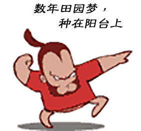 睡莲什么时候种最合适（“水中女神”睡莲的最佳栽种时间）