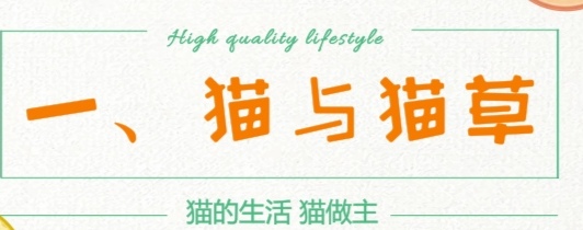 猫不是食肉动物吗？为什么它们总惦记着吃猫草，还喜欢吃蔬菜？