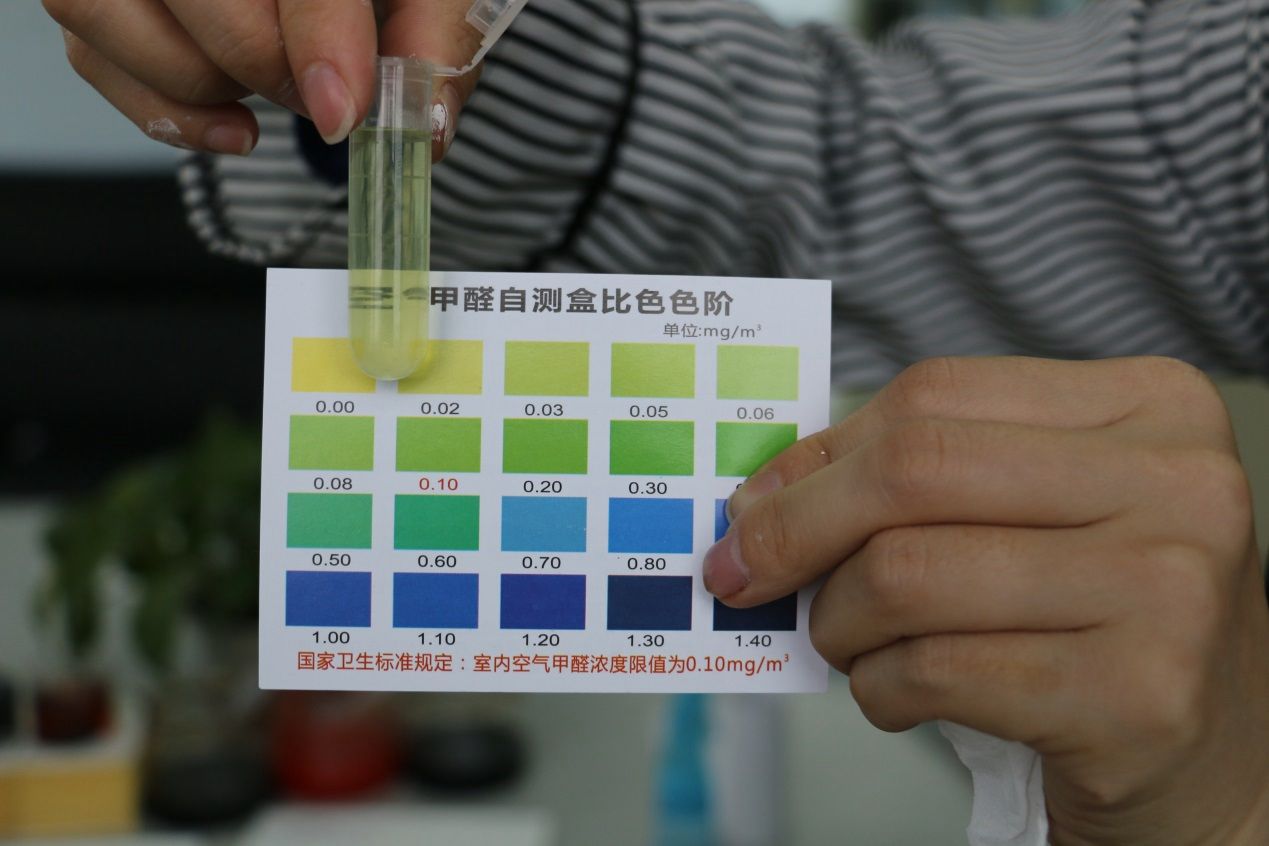 新房装修除甲醛速成法，告别半年晾房焦虑