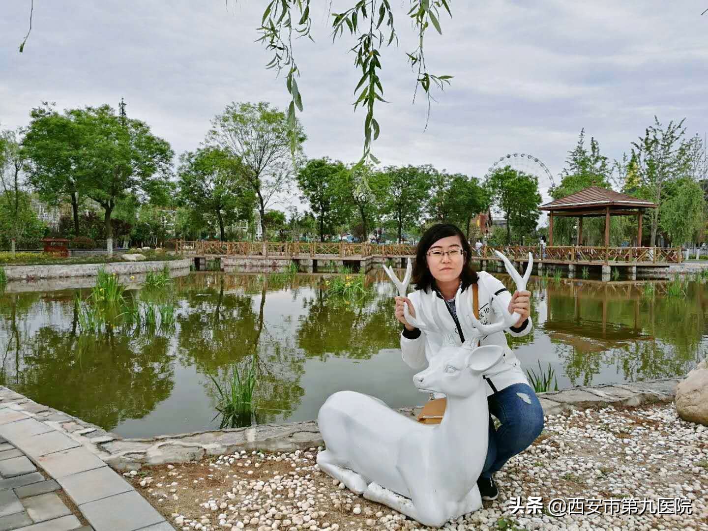 神奇的“太白七药”