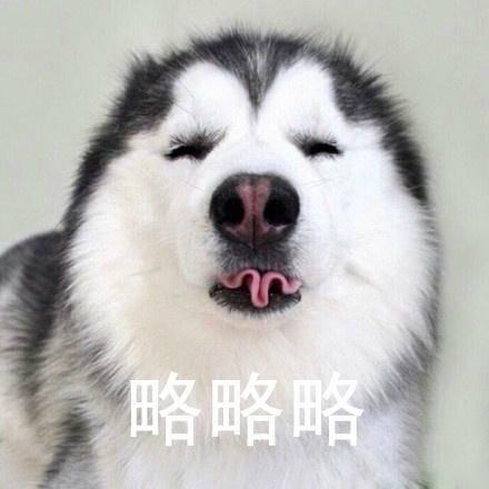 柴犬略略略表情包