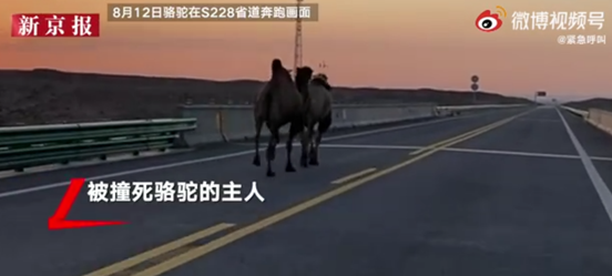 扬州二手车,扬州二手车交易市场