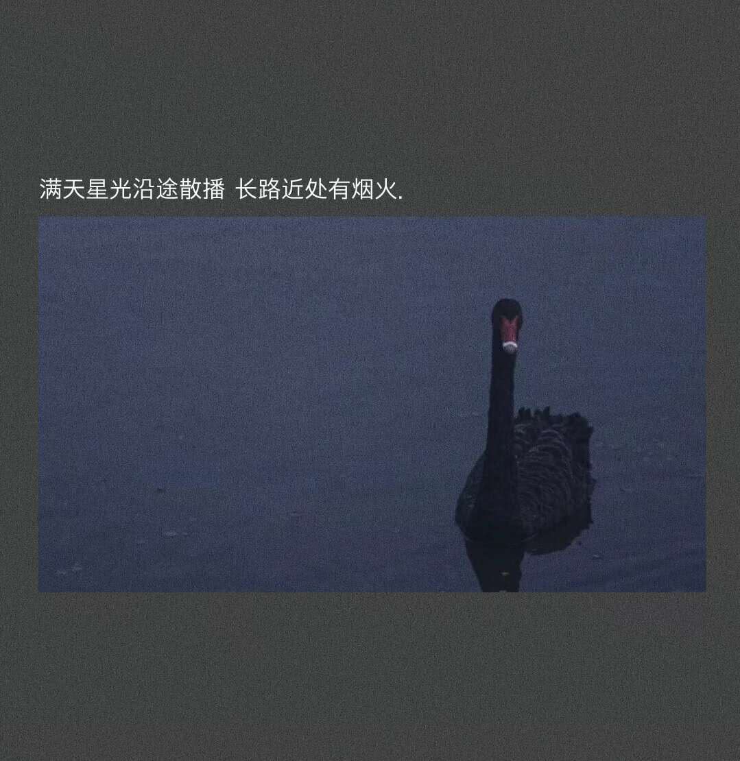 直击灵魂深处的句子摘抄-第五章