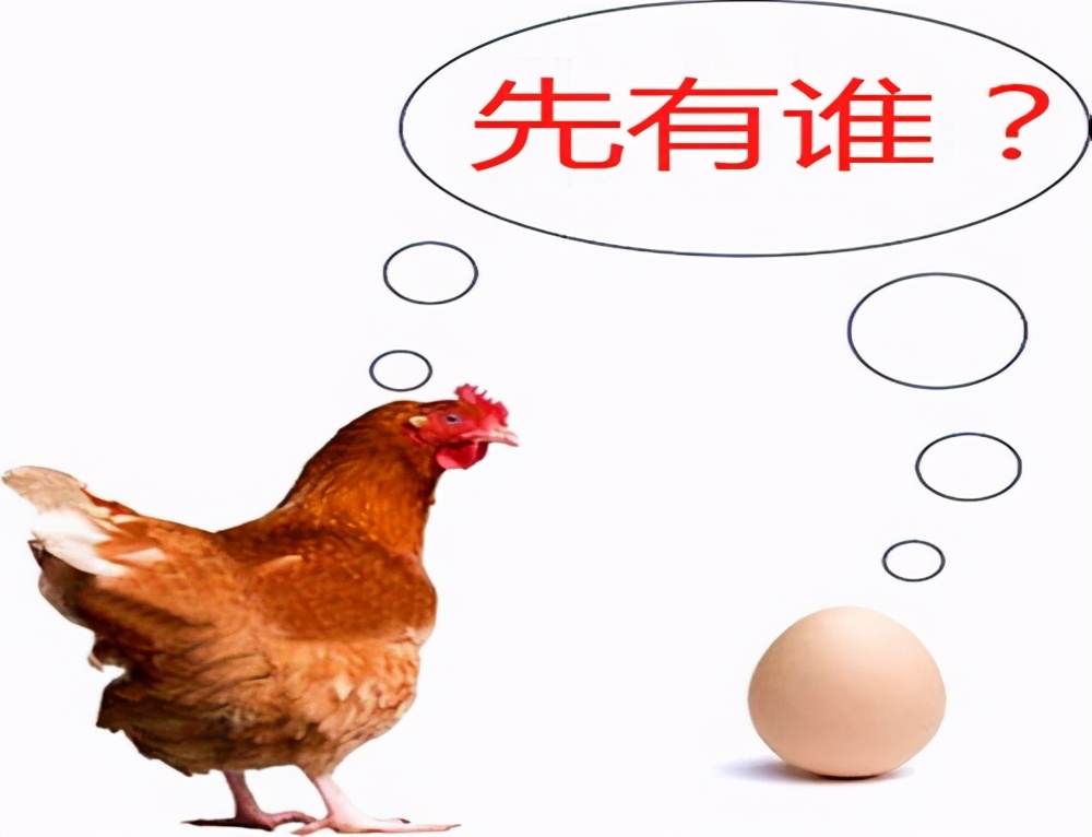 公鸡母鸡交配，为何公鸡要踩在母鸡上面，这不是很危险吗？