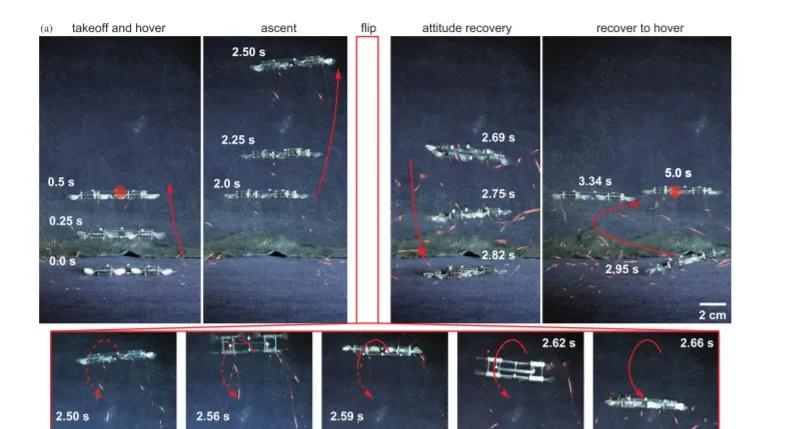 MIT青年科学家研发“昆虫无人机”,碰撞翻滚后也能立即复飞