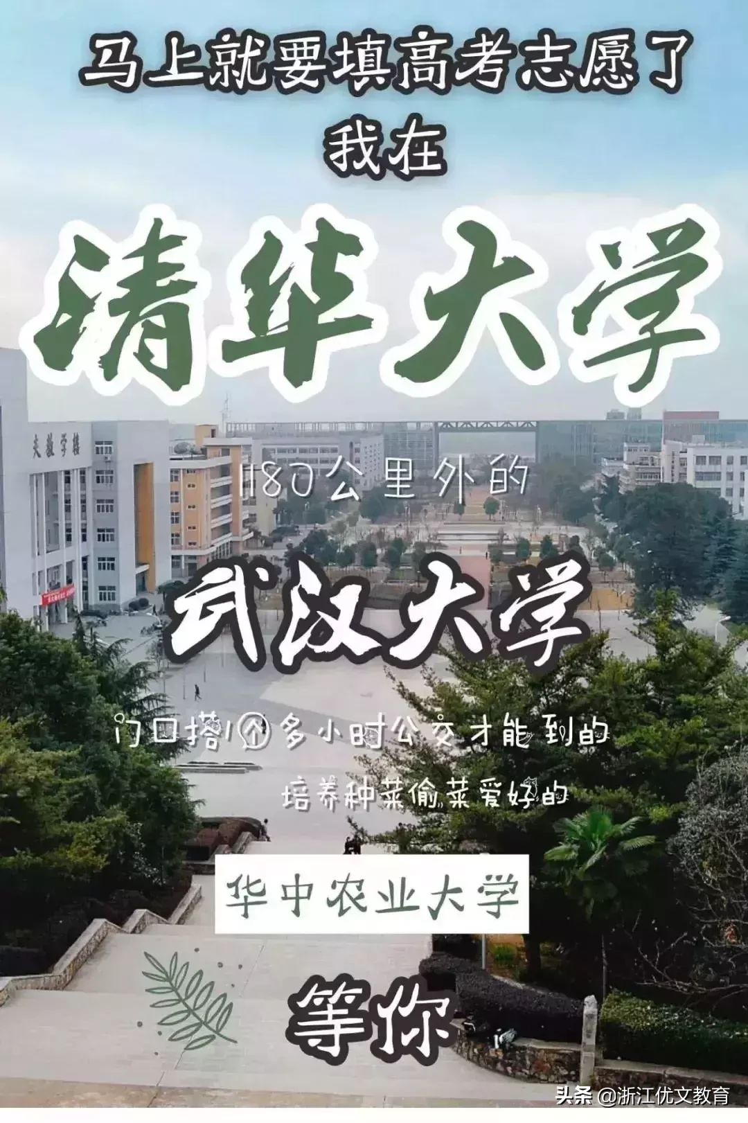 填报志愿前，这些“野鸡大学”要小心