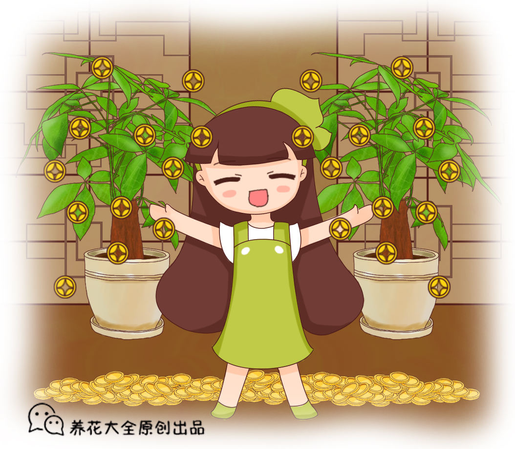 招财寓意植物大盘点(寓意招财的植物有哪些)