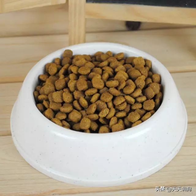 狗糧怎么泡,狗糧怎么泡軟步驟
