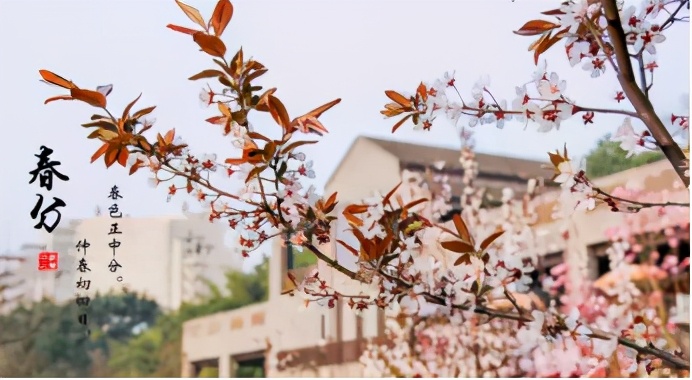 占地2390余亩，重庆这所大学美到被央视新闻