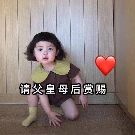 向父母讨钱的表情包合集｜妈，给点钱呗