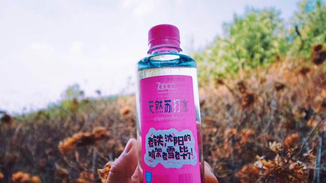 自制苏打水的危害（详解人工苏打水的成分及其危害）