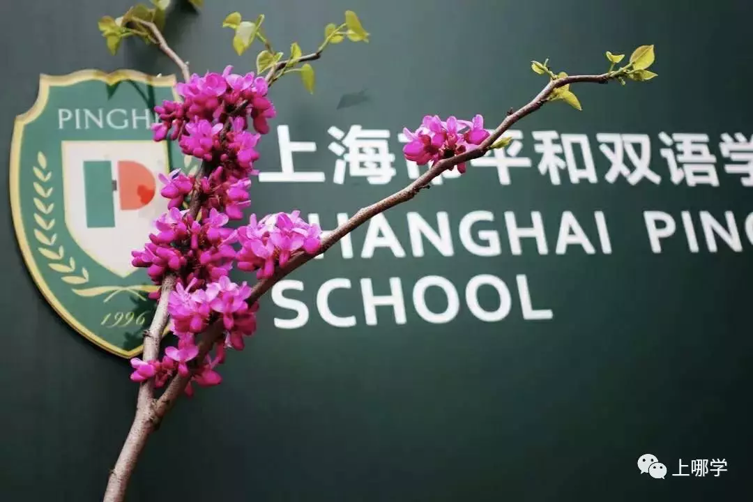 超热门民办双语小学，世界名校收割机！近两年新开2所分校