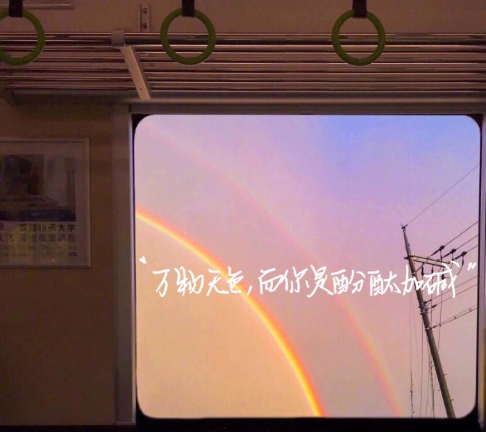 我一生都在漂泊，前半生是为了遇见你，后半生是为了忘记你