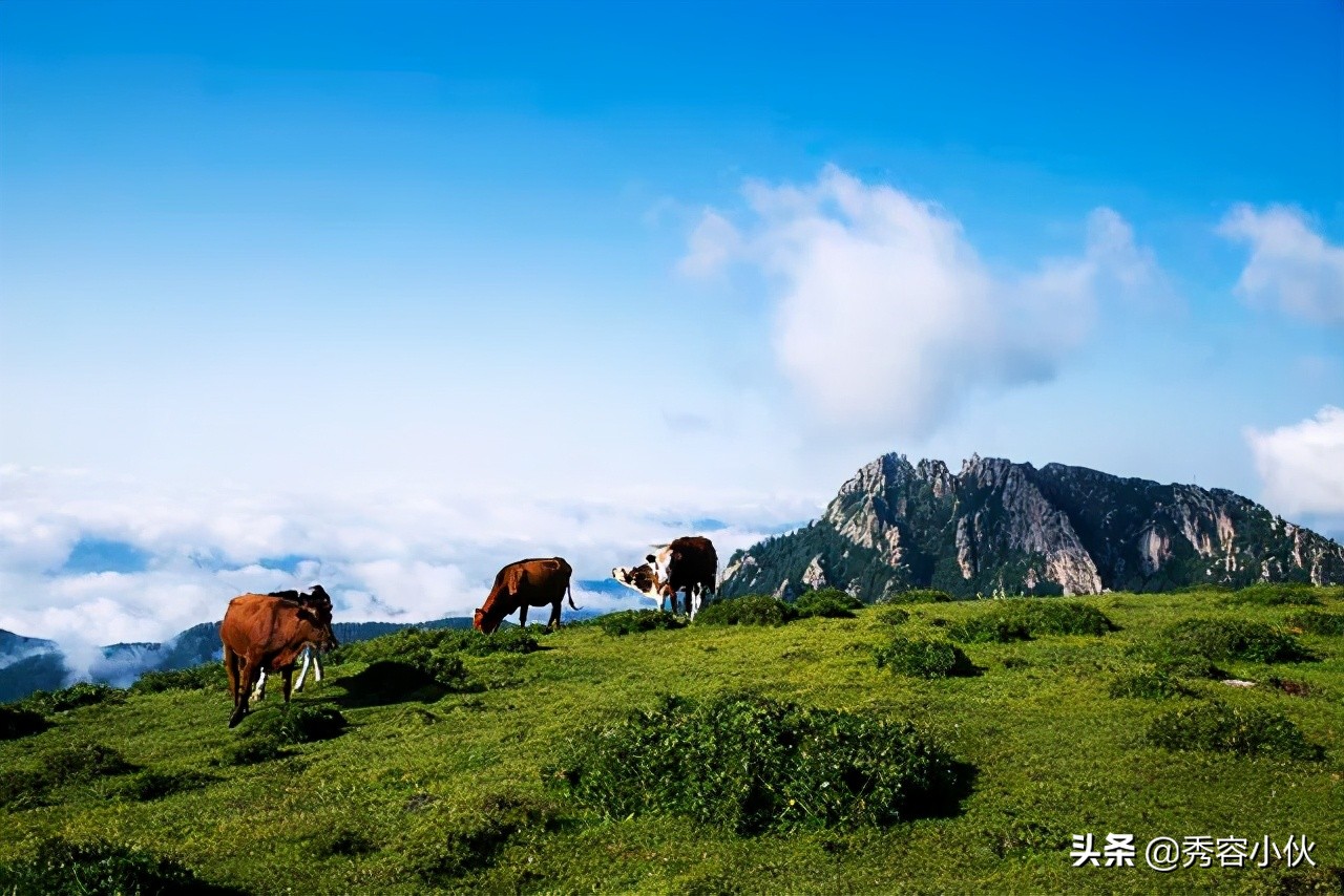 仰读忻州：那山，这山