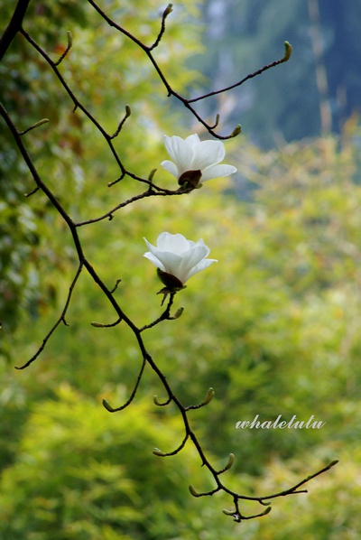 跟着高考状元学五步学习法，再也不用操心孩子的学习