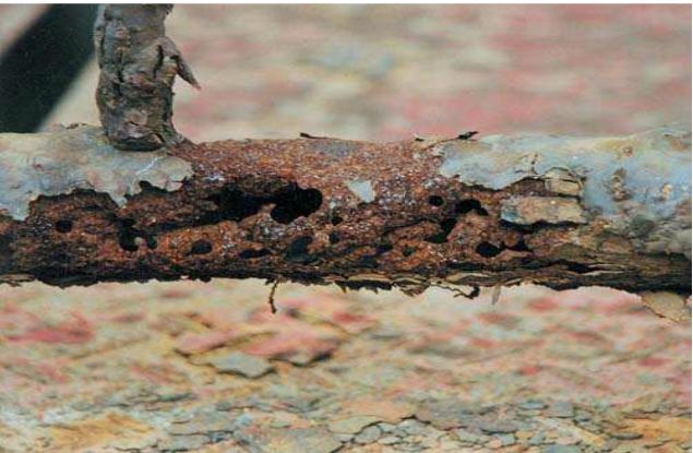  辍学12年，干过矿工：他却让蒙特雷大学竖起缅甸的国旗，凭什么