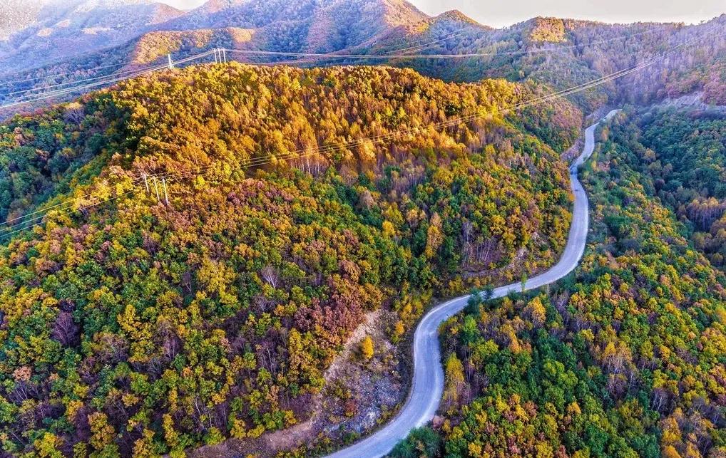 赏秋时节 </p><p>　　 打卡京郊这10条乡村公路，藏着北京最美的秋天