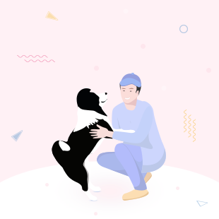宠物微问答：小狗什么时候可以开始打疫苗？一共需要打几次？