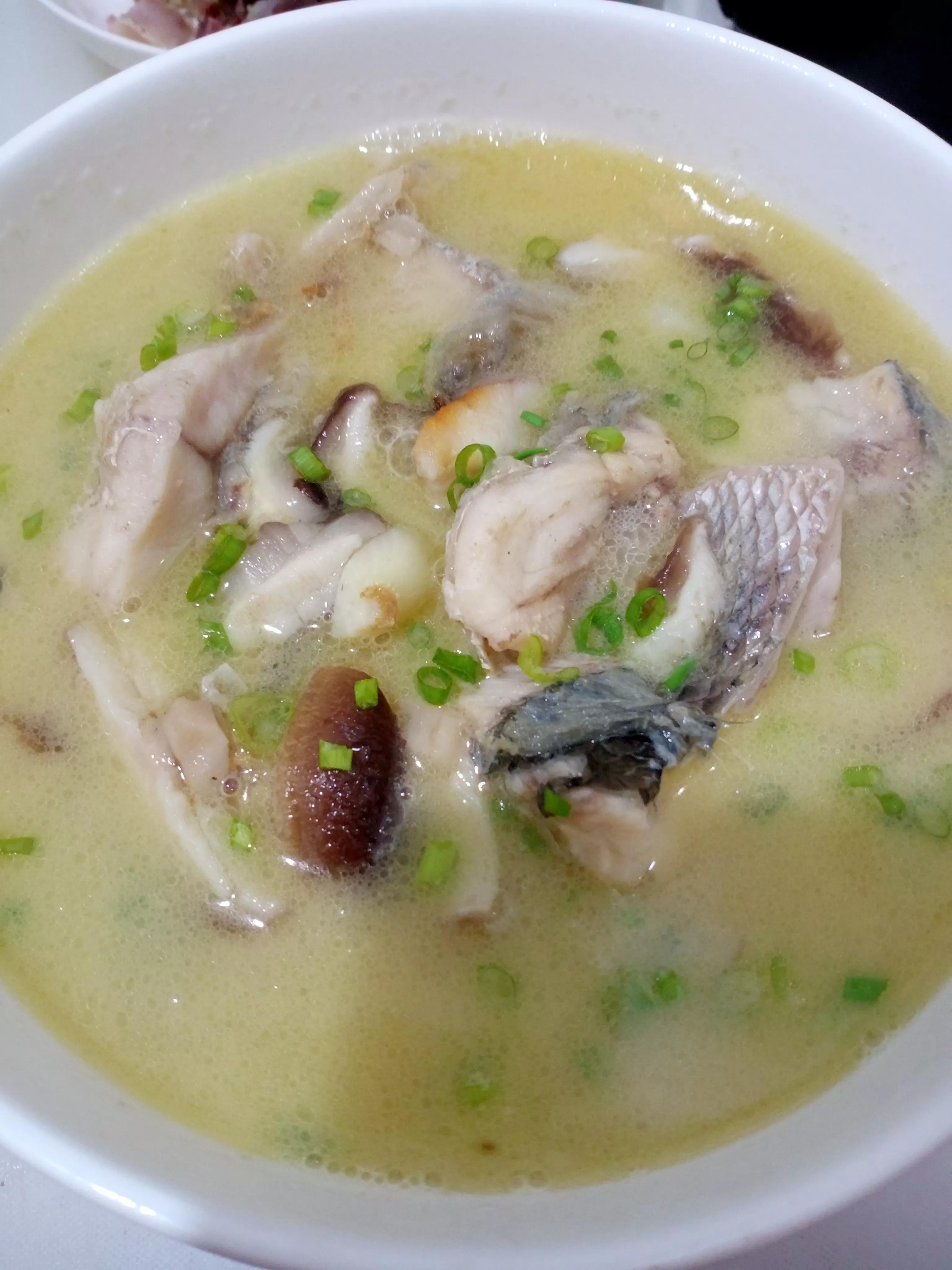 乌鱼汤的做法(清炖乌鱼汤的做法熬出来的汤比牛奶还白)