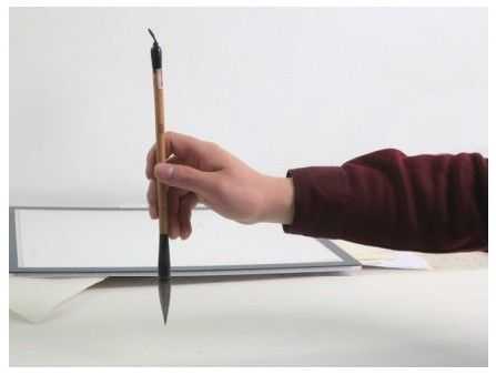 从基本运笔到作画姿势，分步骤讲解教你，适合国画爱好者学习