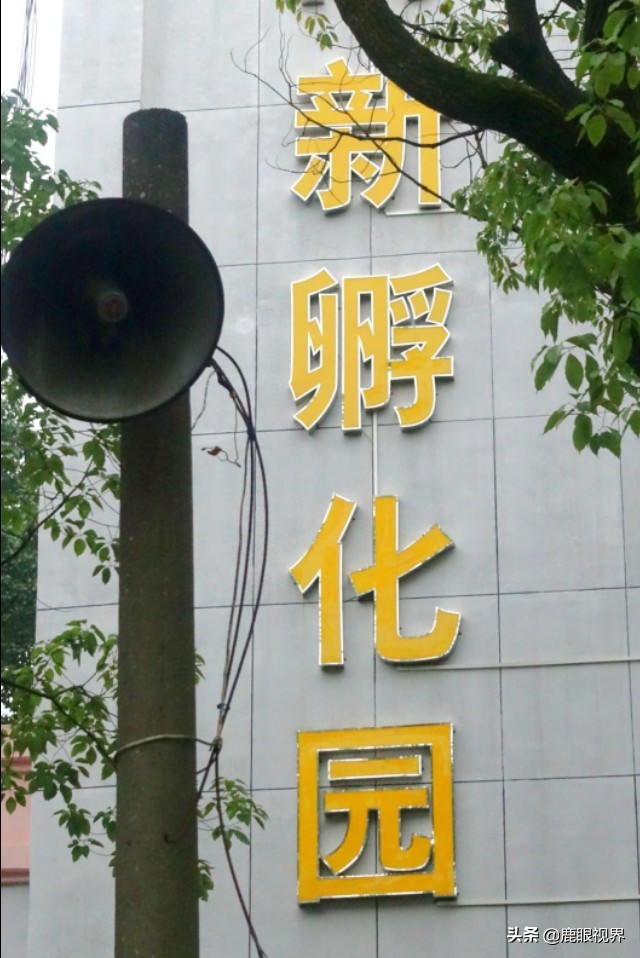 鹿眼视界 · 我的随拍之354 西南石油大学南充校区一瞥