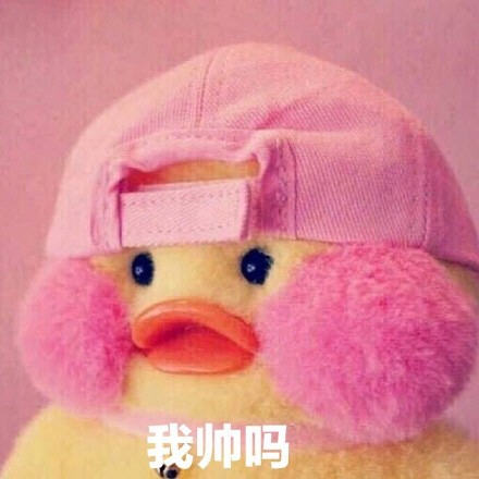 迷你腮红小黄鸭表情包合集|人家超可爱
