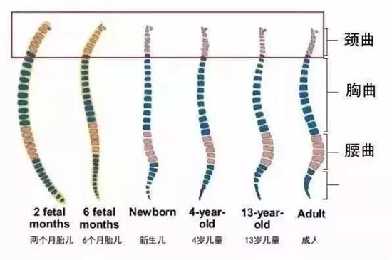 钧钧妈分享：给新生儿用定型枕好处多？一年后宝妈后悔不已