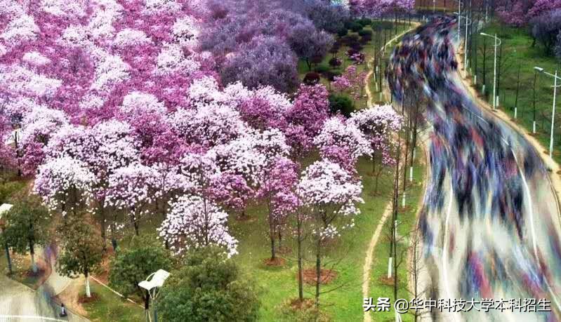 看完以下26个理由，你还能