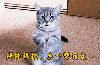 好宅HOUZE | 新装修的房子多久才能入住？4招去甲醛的方法